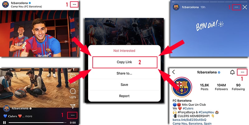Detailed instructions for copying Instagram Reel links from both mobile app and desktop browser
